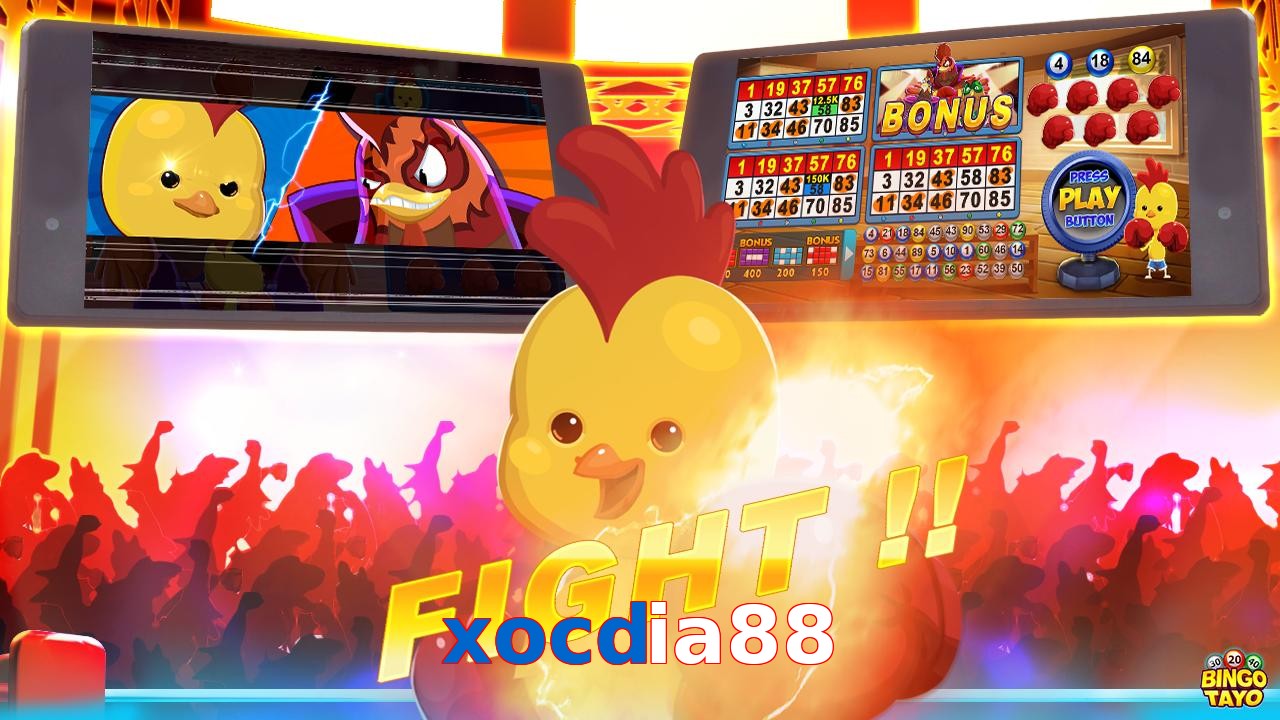 xocdia88