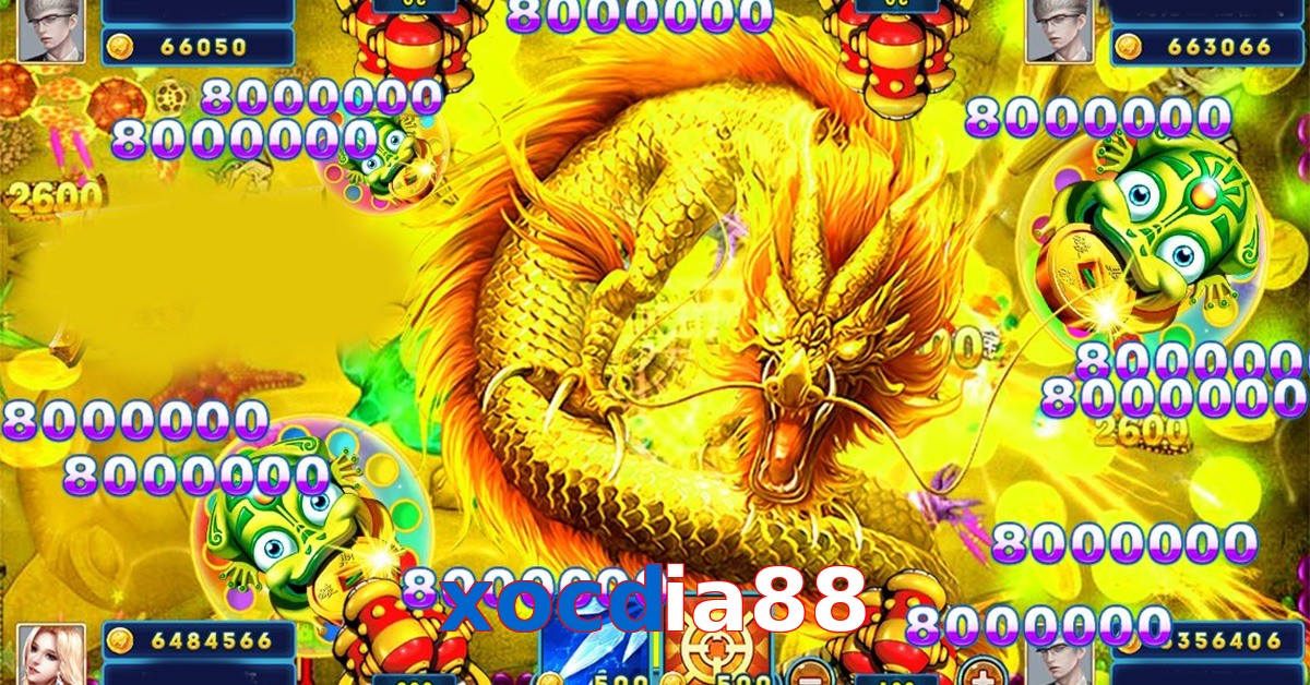 xocdia88