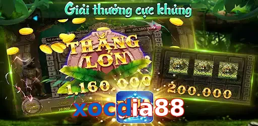 xocdia88